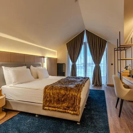 Megasaray Mount Erciyes 호텔